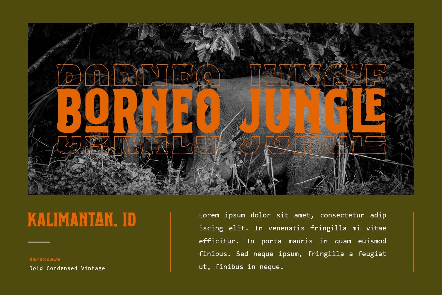 Baraksawa - Bold Condensed Vintage Font — image 6