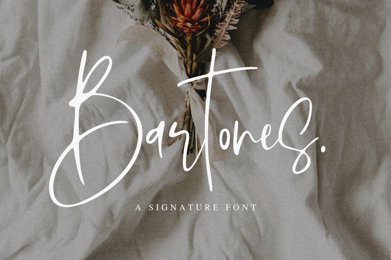 Bartones - Signature Font — image 1