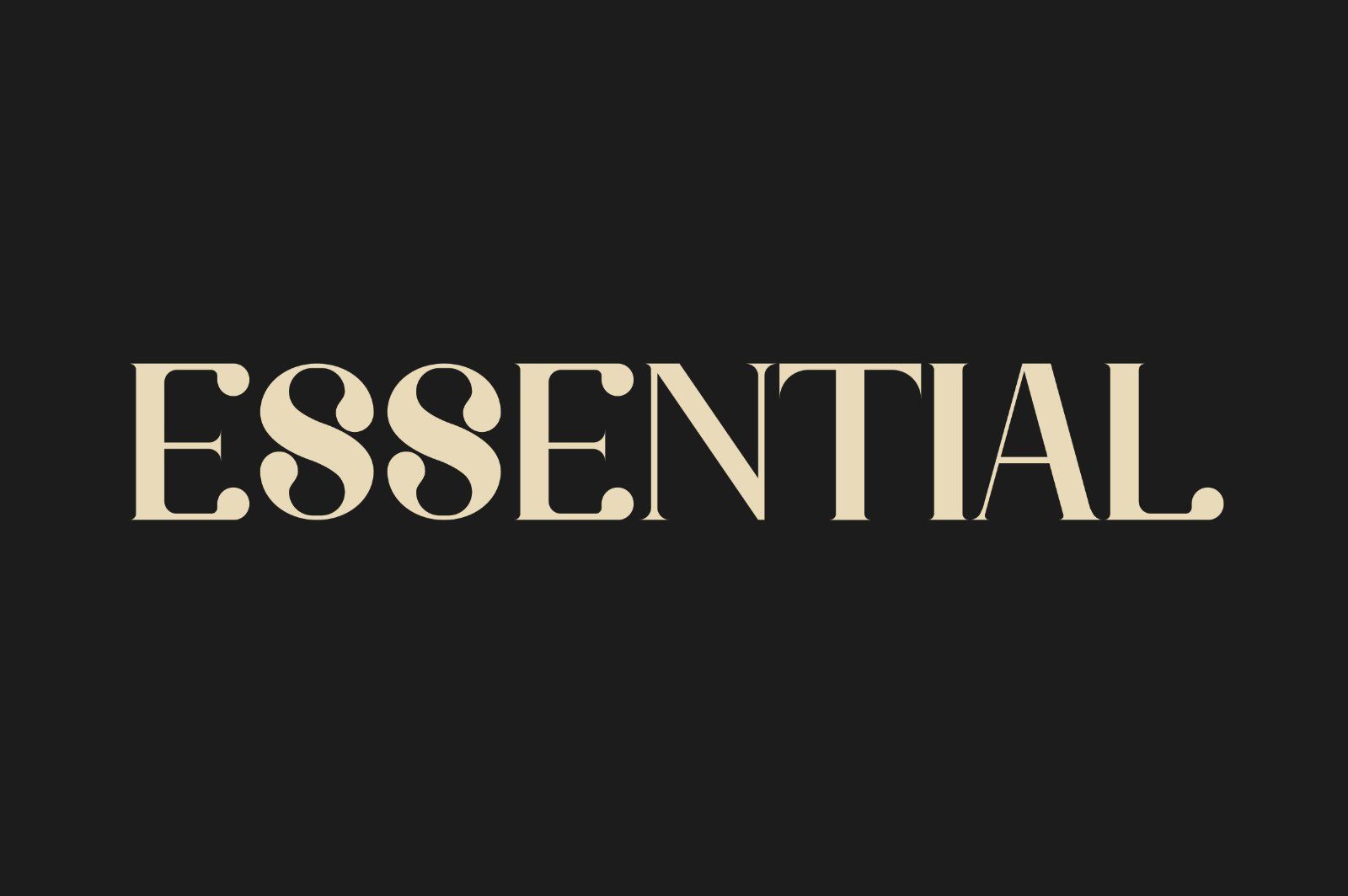 Belgia Modern Classic Font — image 9