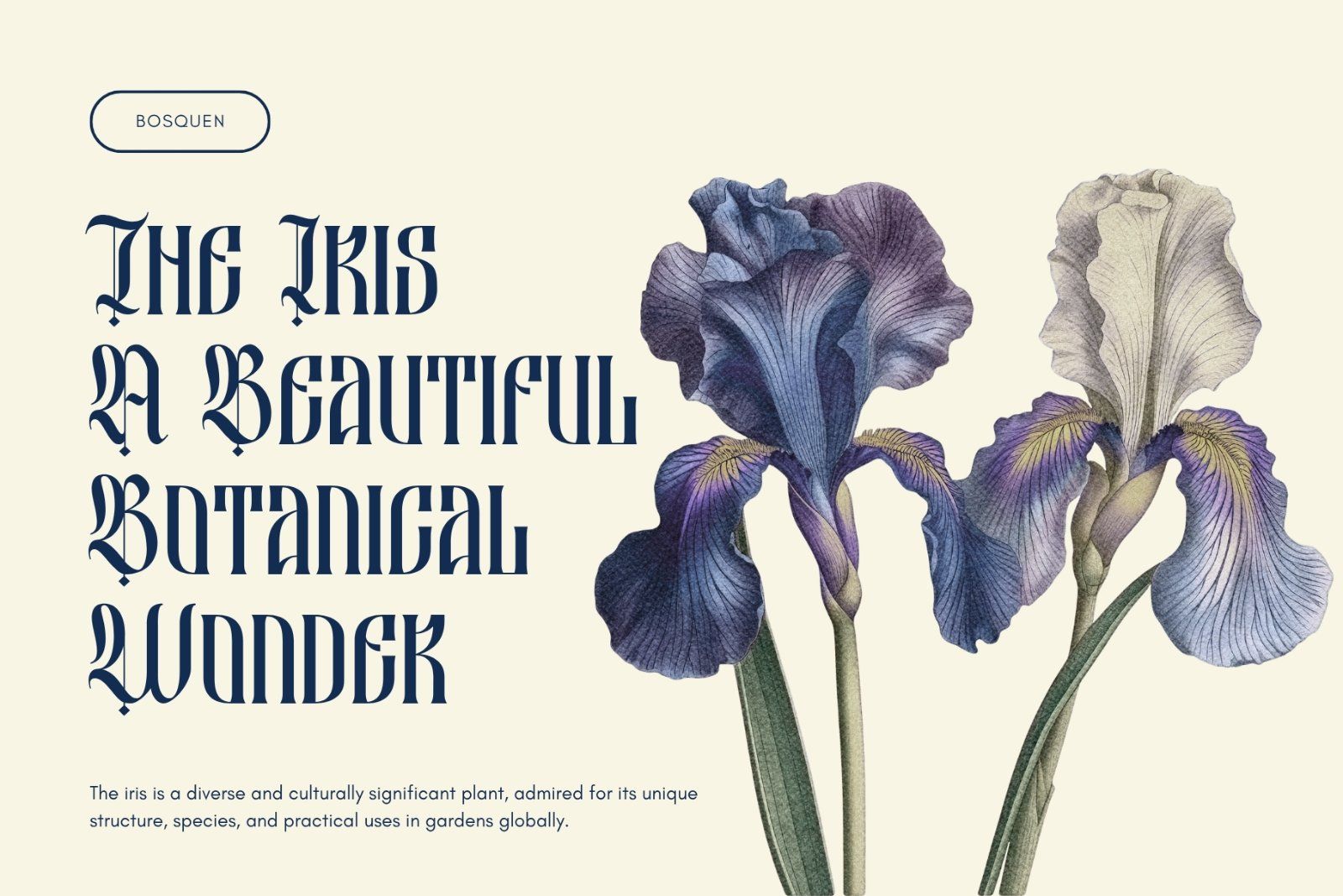 Besquen Modern Gothic Typeface Font — image 7
