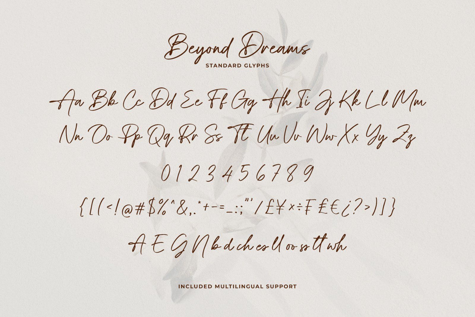 Beyond Dreams Modern Signature Script Font — image 13