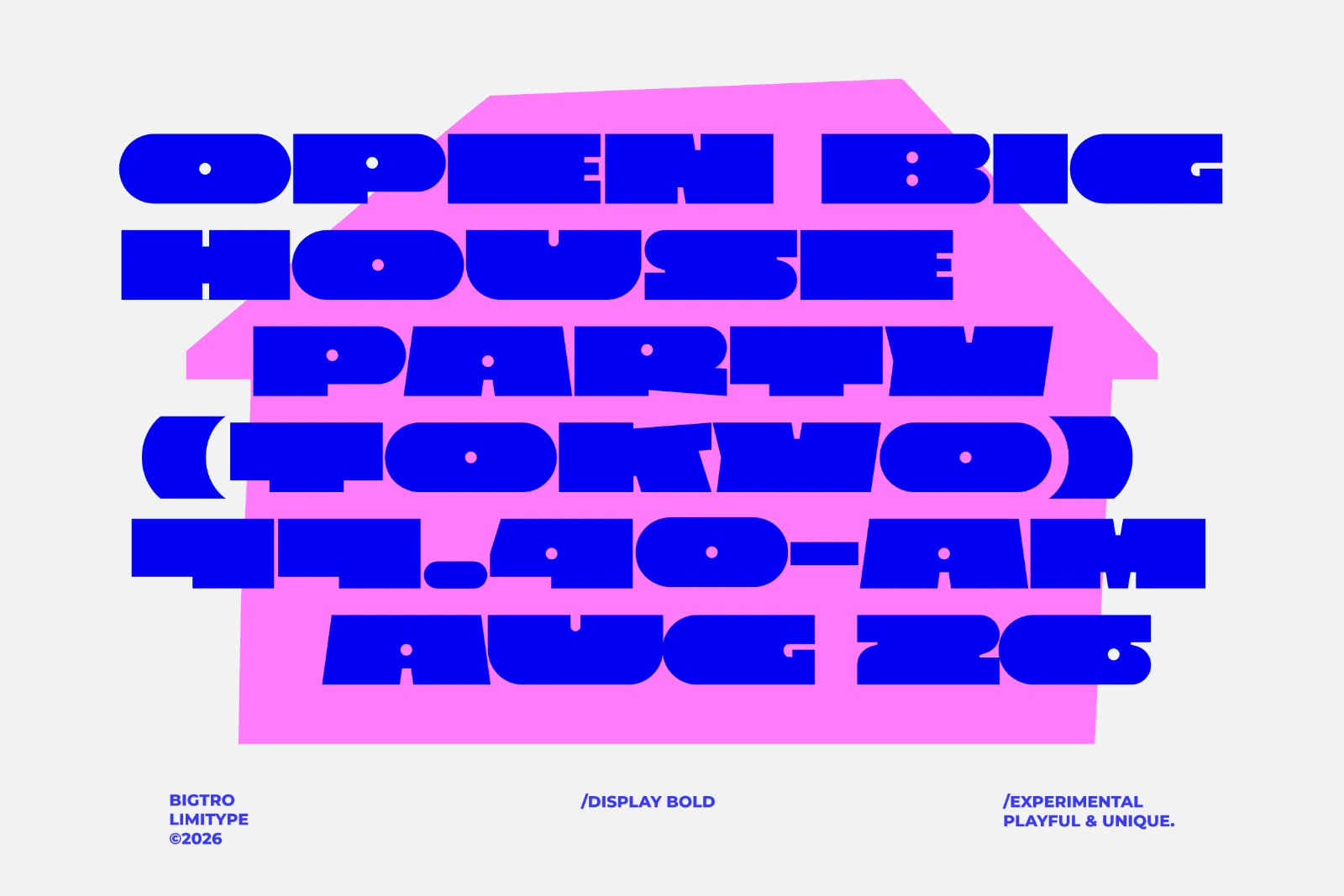 Bigtro — image 4