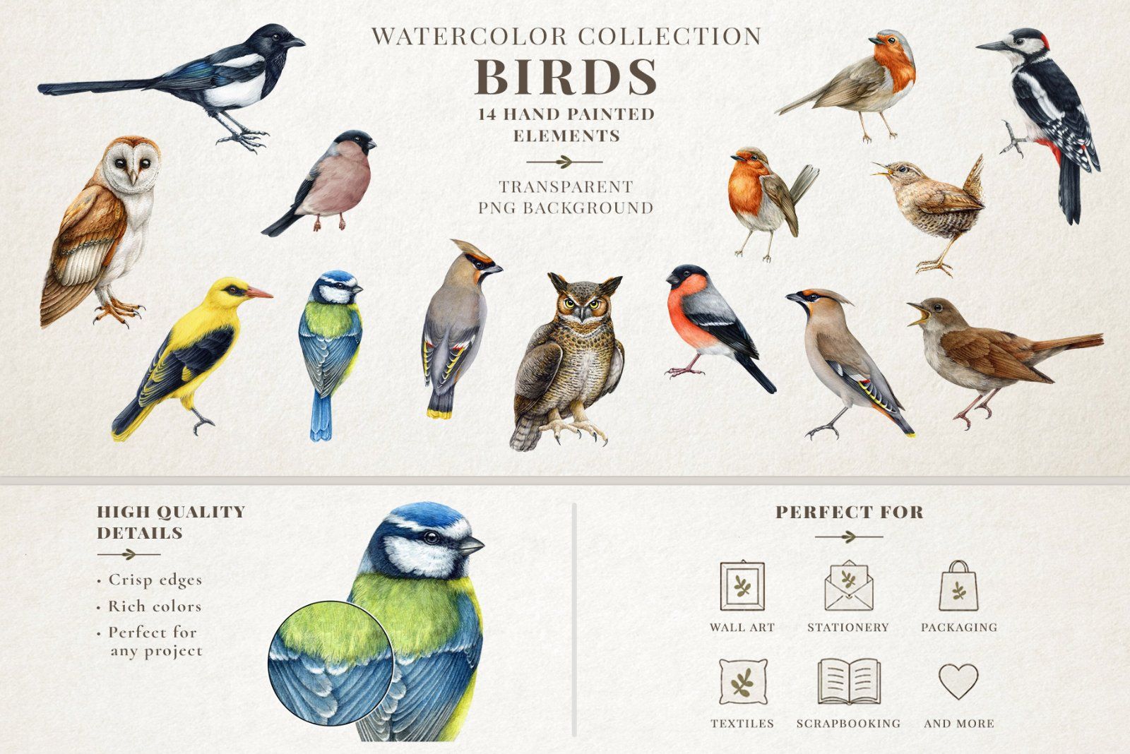 Woodland Animals Watercolor Clipart — image 4