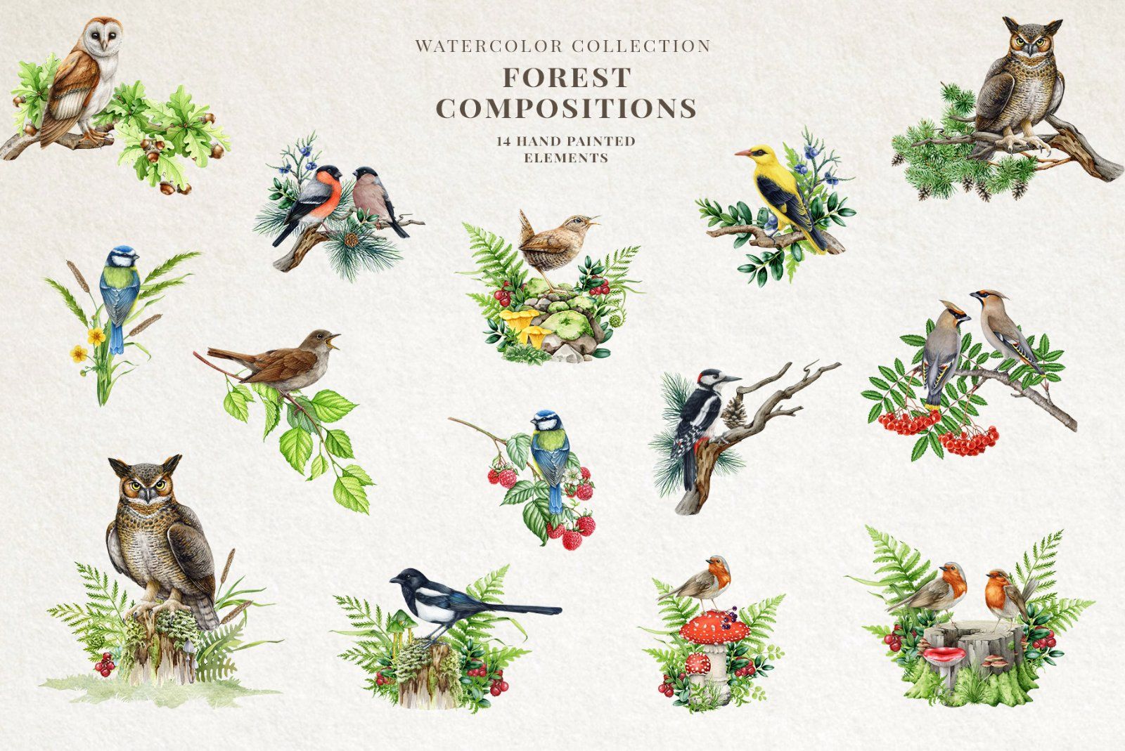Woodland Animals Watercolor Clipart — image 6
