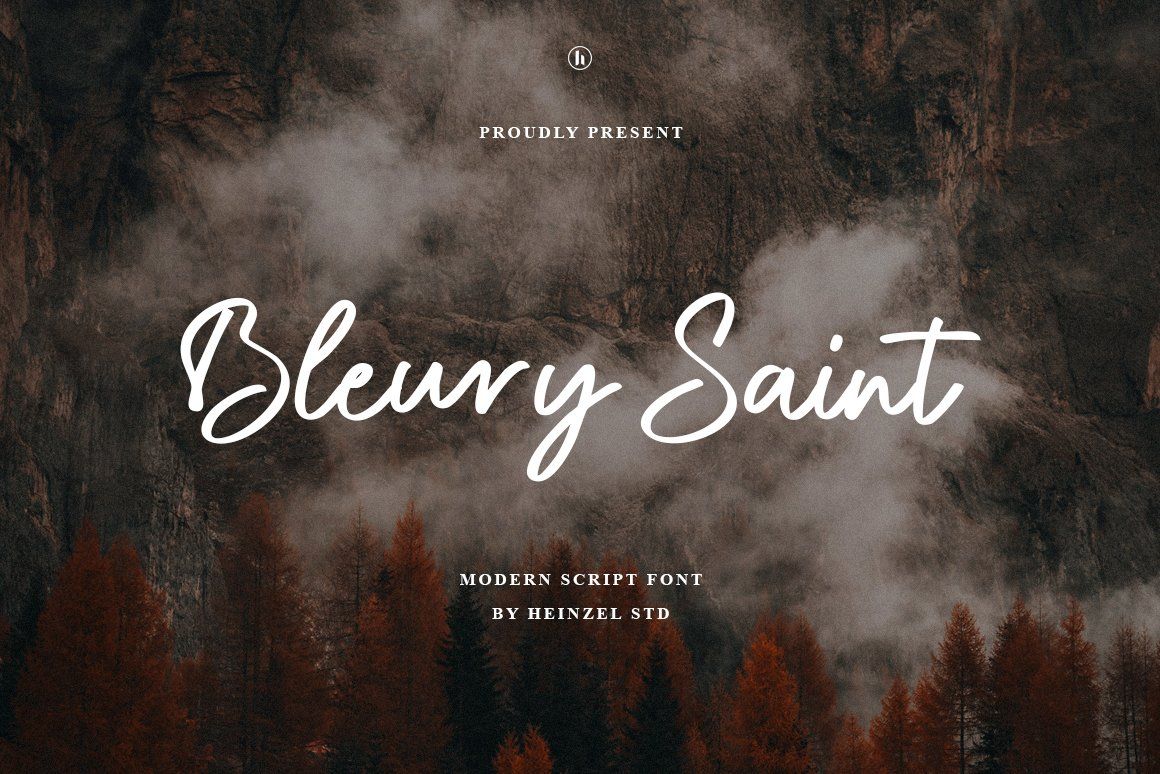 Bleury Saint Modern Script Font — image 1