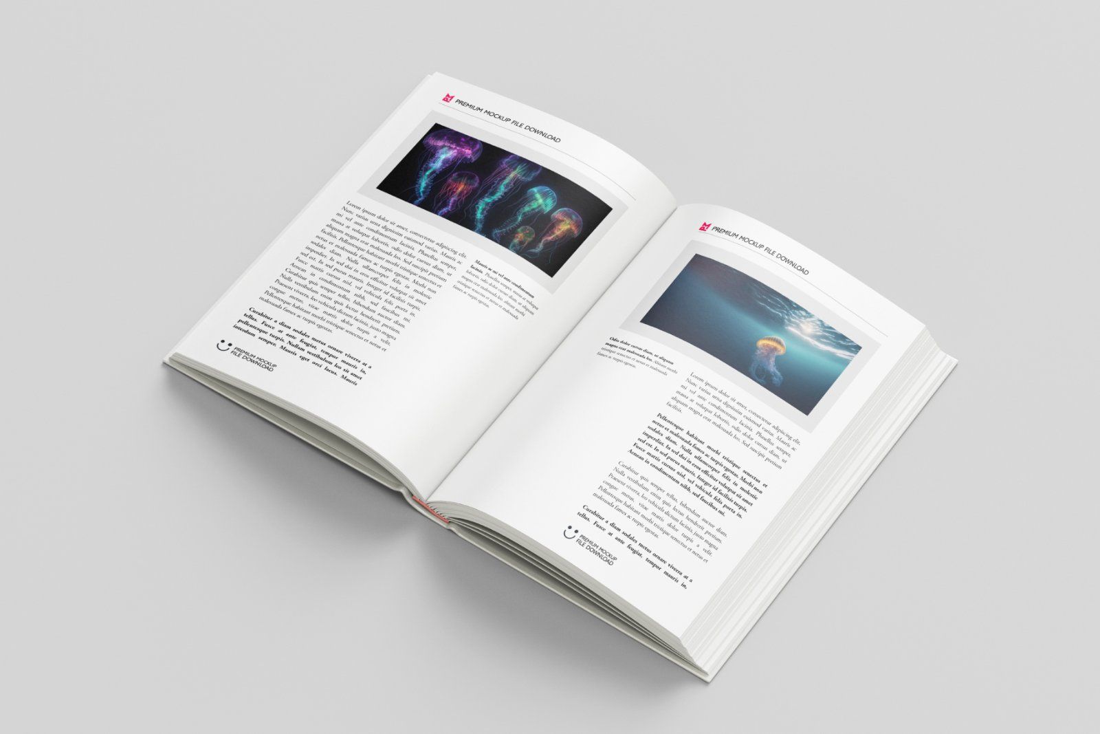 Hardcover book mockup