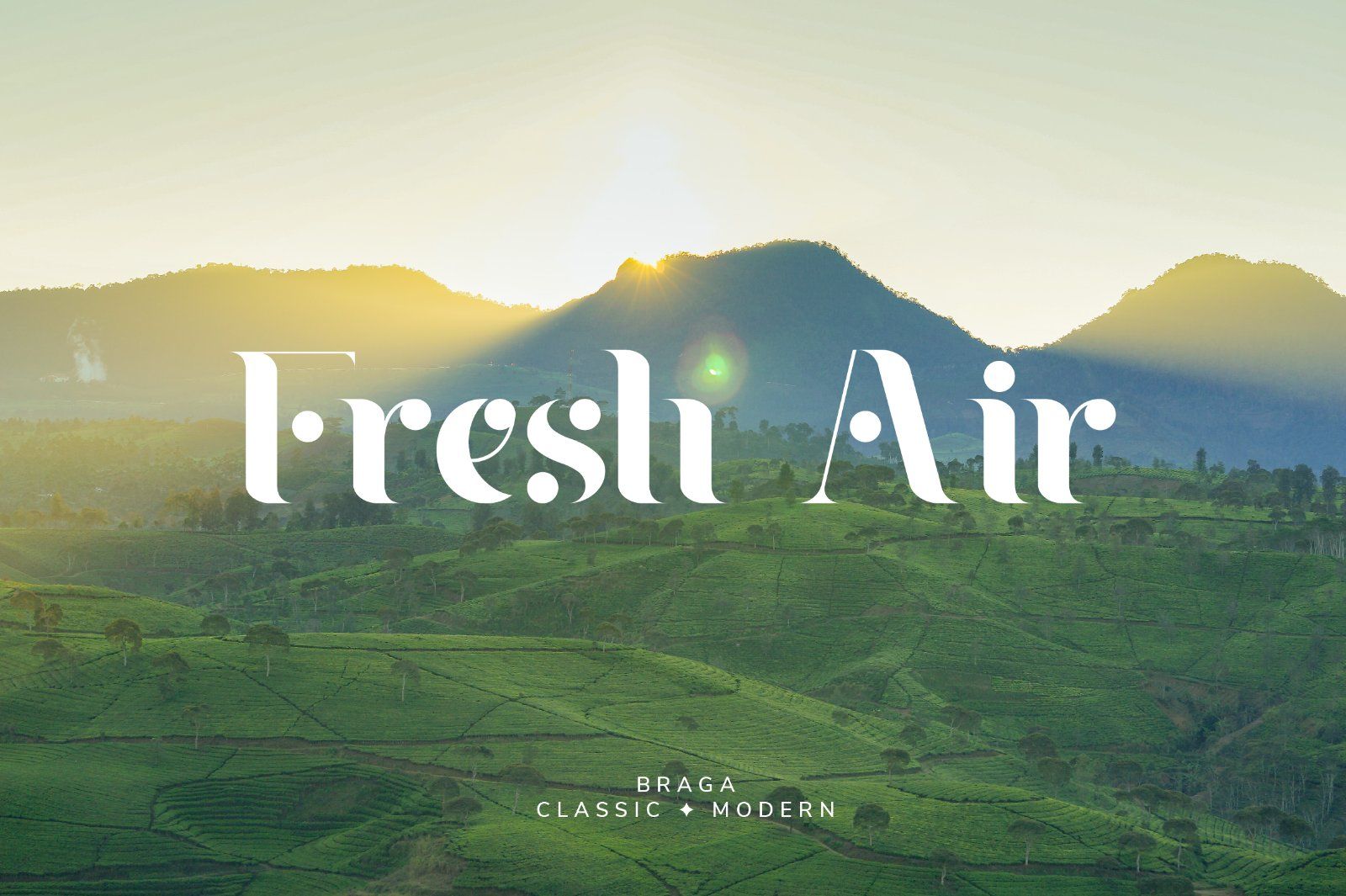 Braga Serif - Classic & Modern — image 5