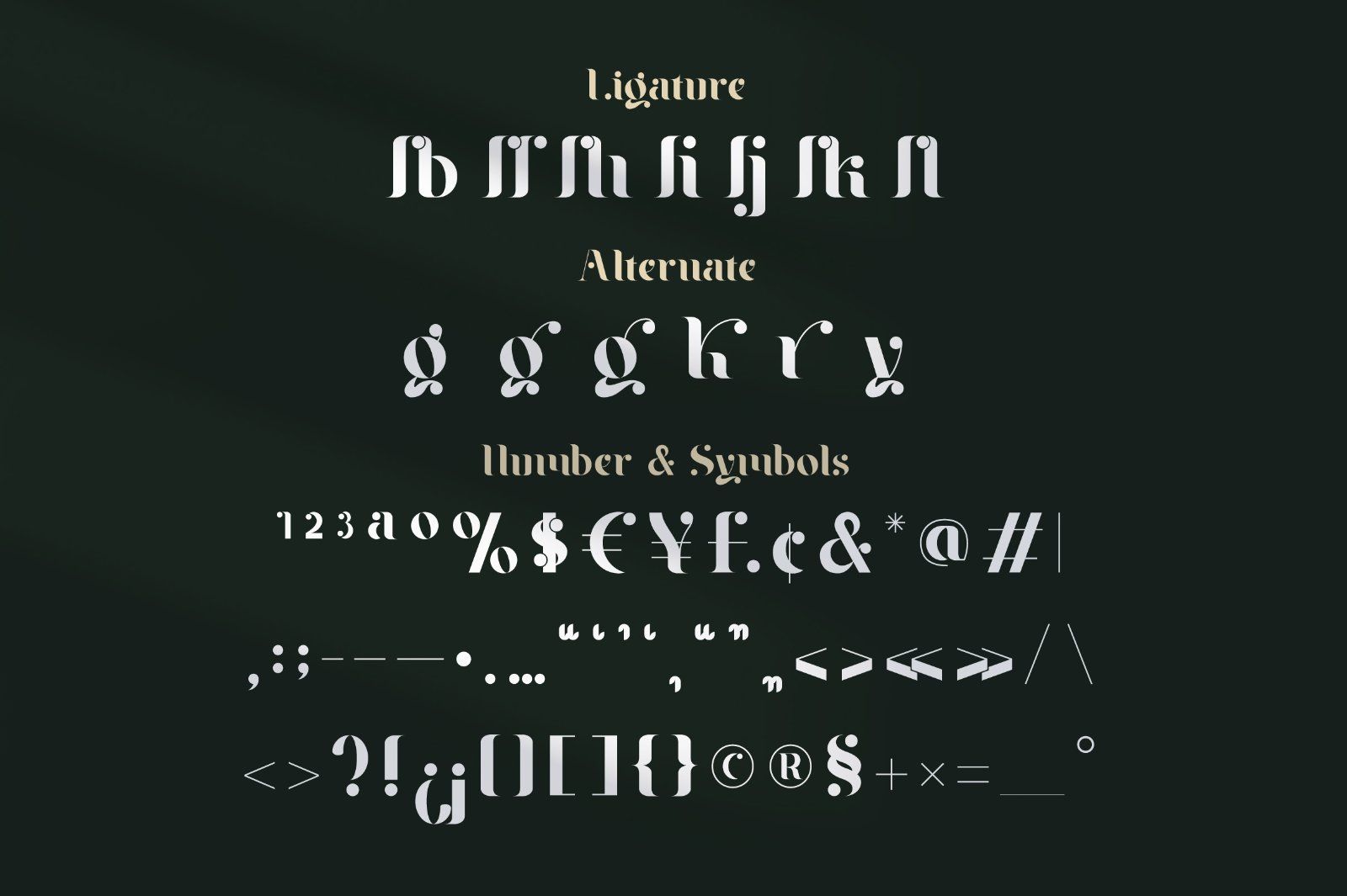 Braga Serif - Classic & Modern — image 9