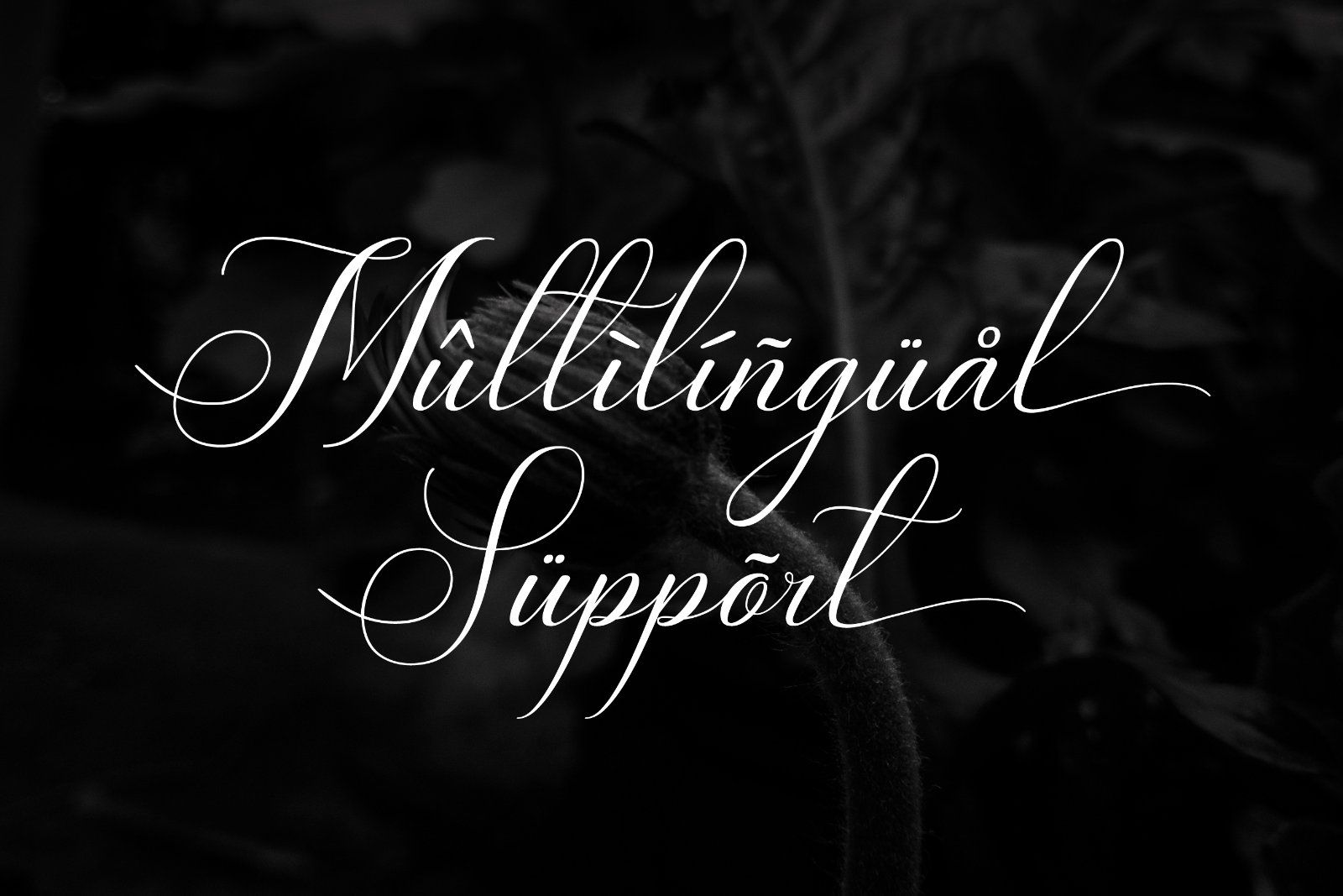Brithney - Beautiful Calligraphy Font — image 9