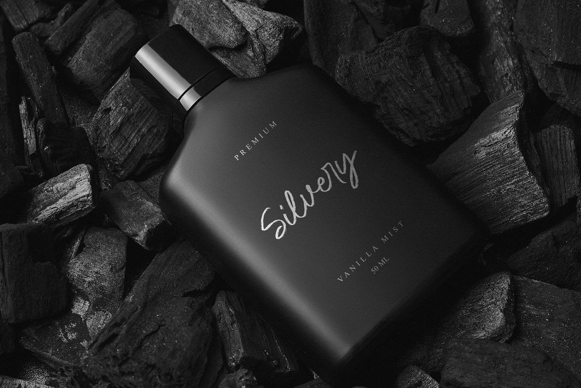 Brittney and Jasmine Modern Brush Script Font — image 3