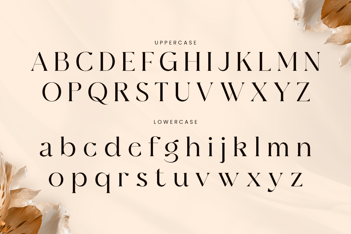 Brocade-Modern Luxury font — image 11