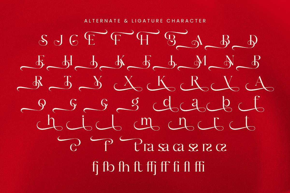 Brocade-Modern Luxury font — image 13