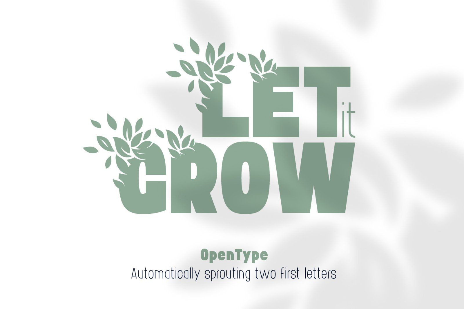 Bushman font set — image 2