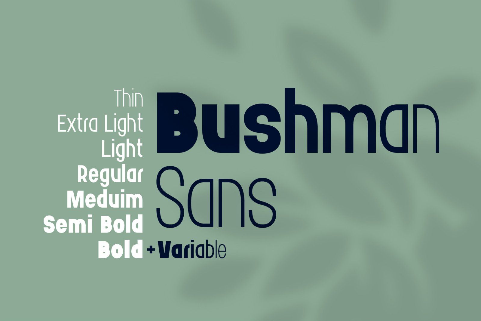 Bushman font set — image 4