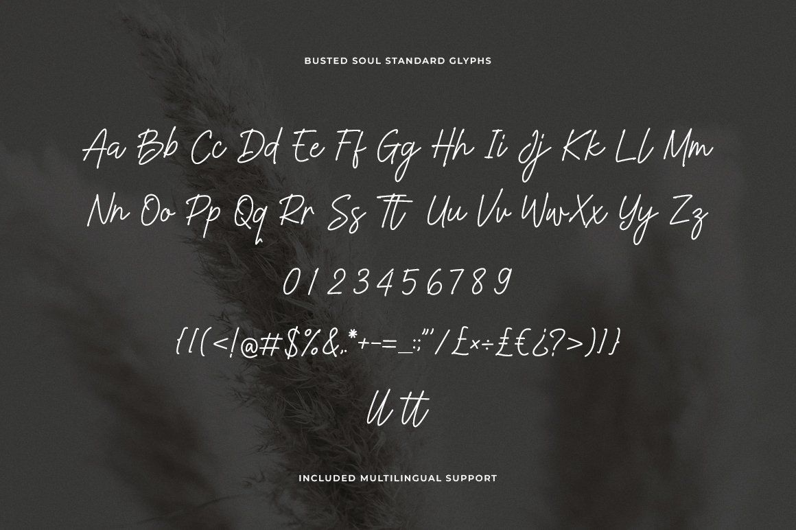 Busted Soul Signature Font — image 13