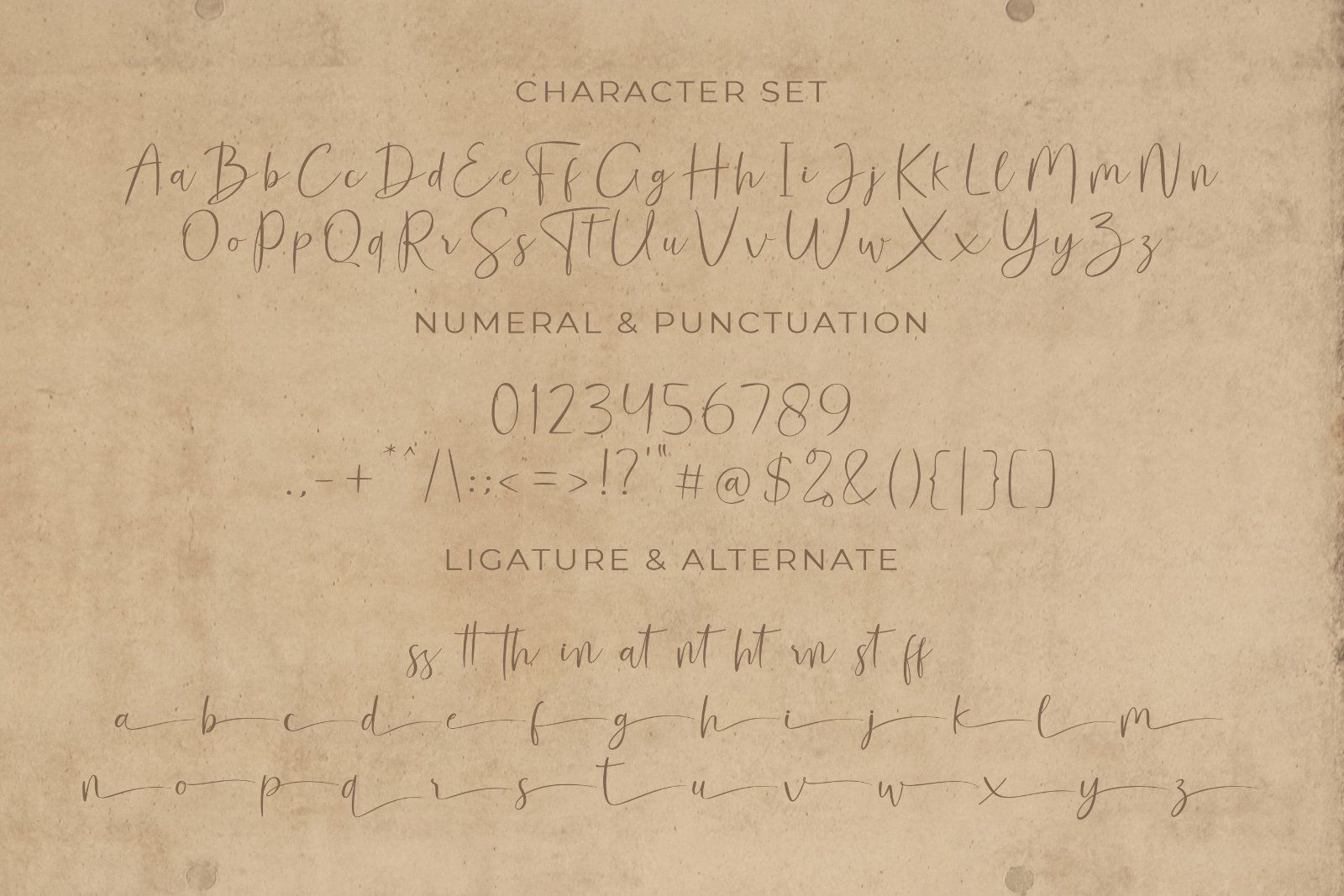 Shandora - Modern Handwritten Font — image 8