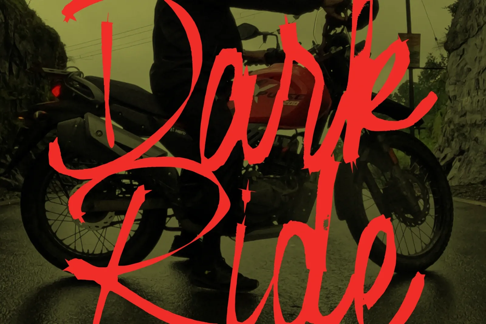 Cadaver Sanctum - Horror Script — image 2