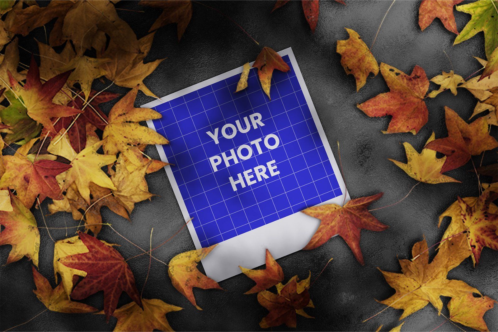 Polaroid Mockup — image 2