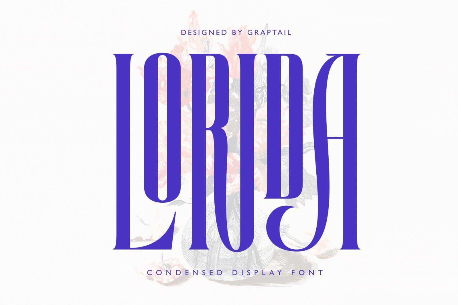 Lorida - Condensed Display — image 1