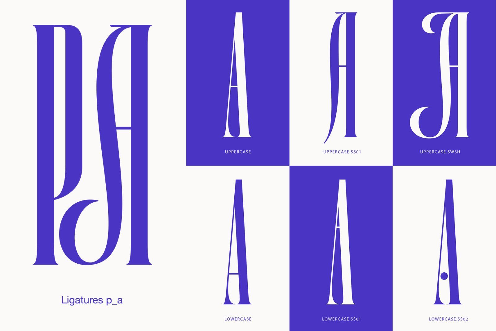 Lorida - Condensed Display — image 2