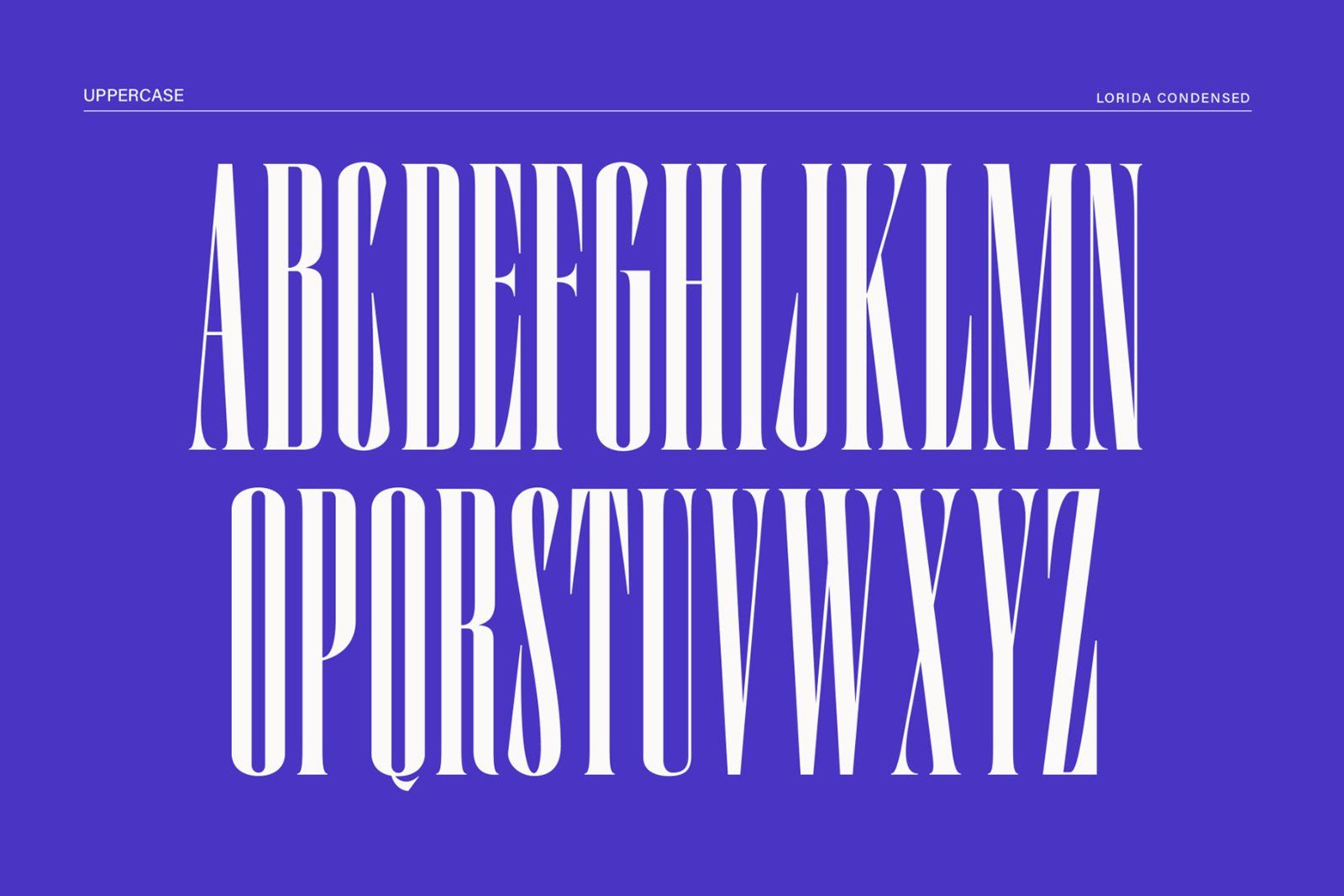 Lorida - Condensed Display — image 11