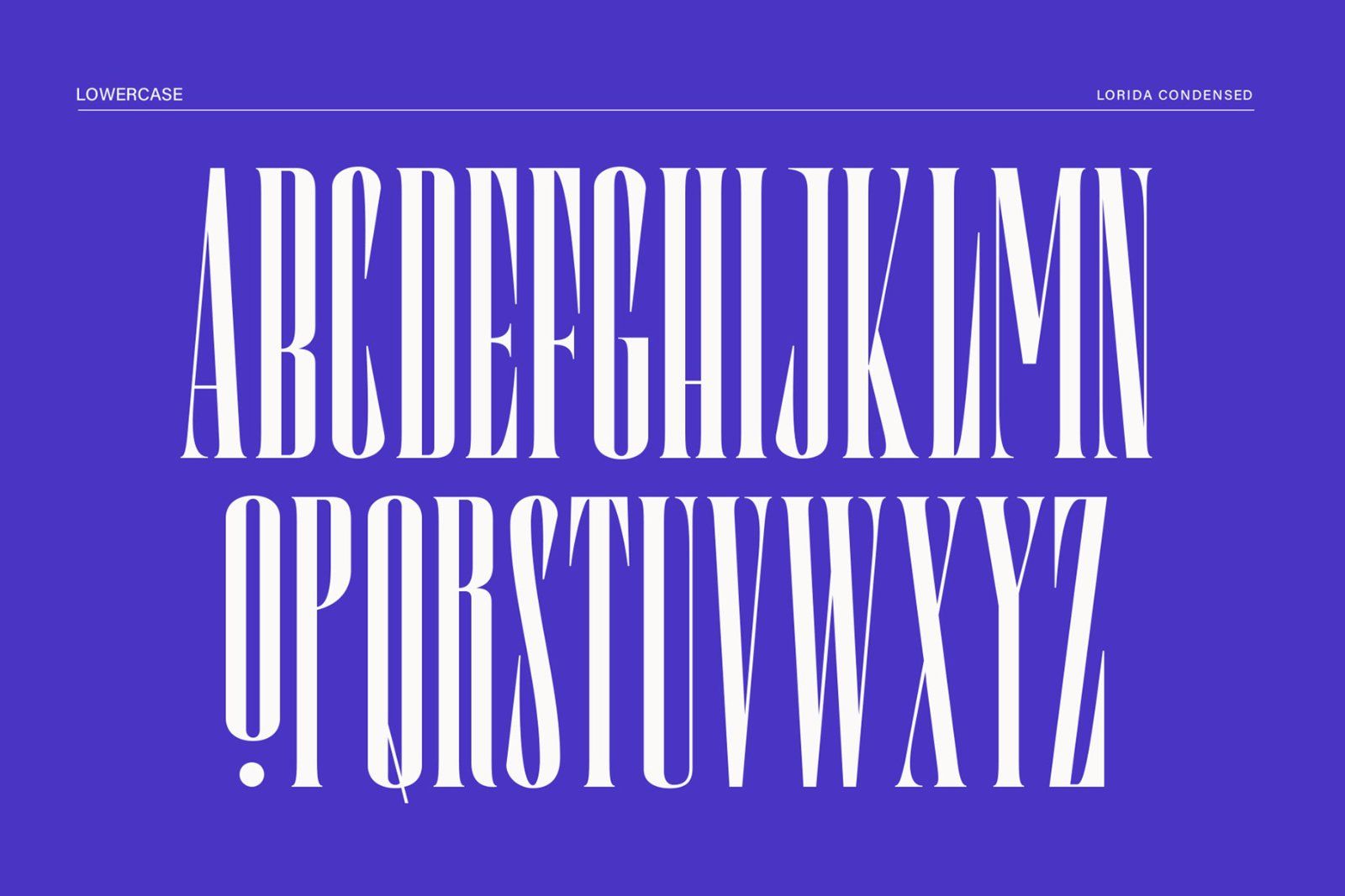 Lorida - Condensed Display — image 12