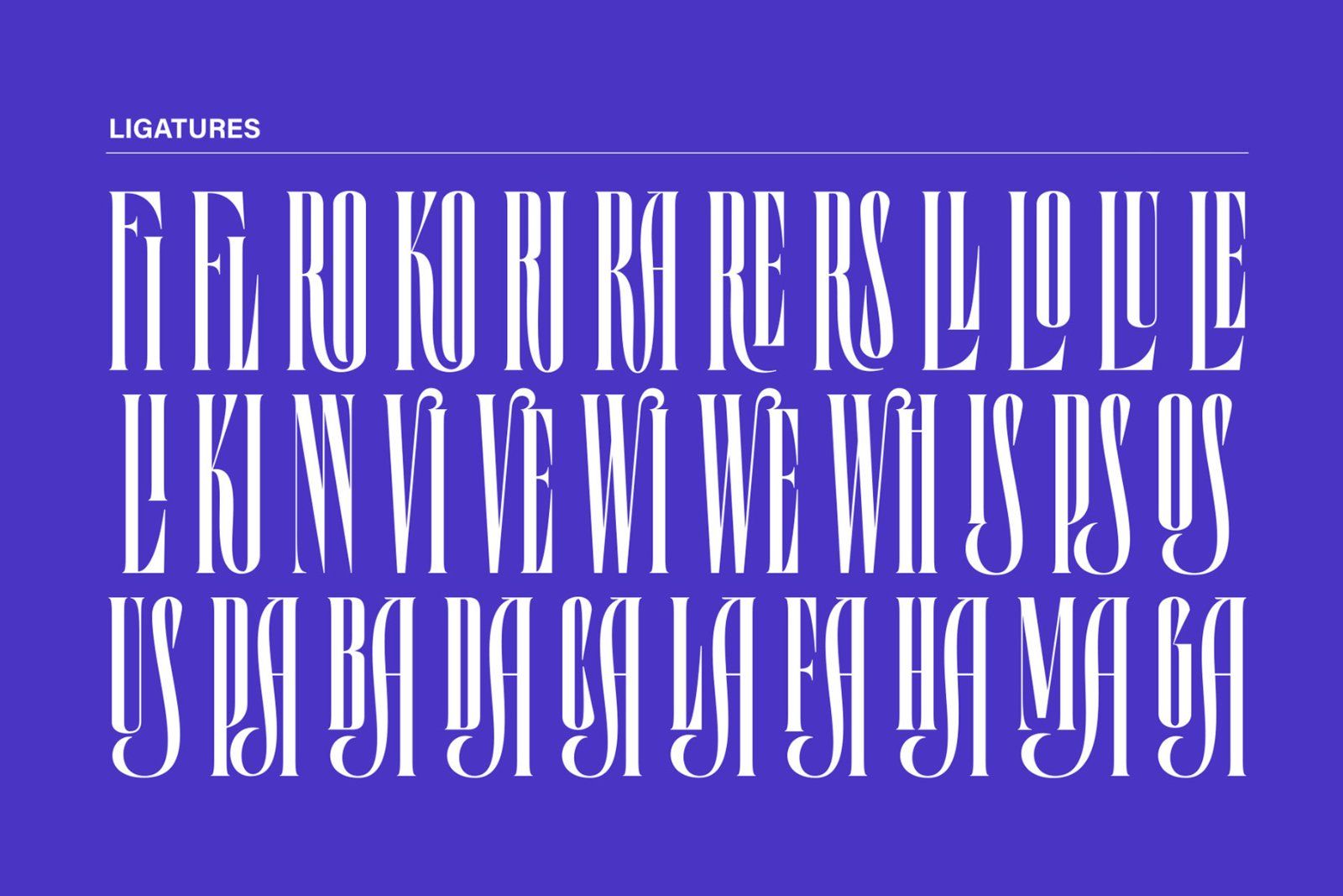Lorida - Condensed Display — image 4