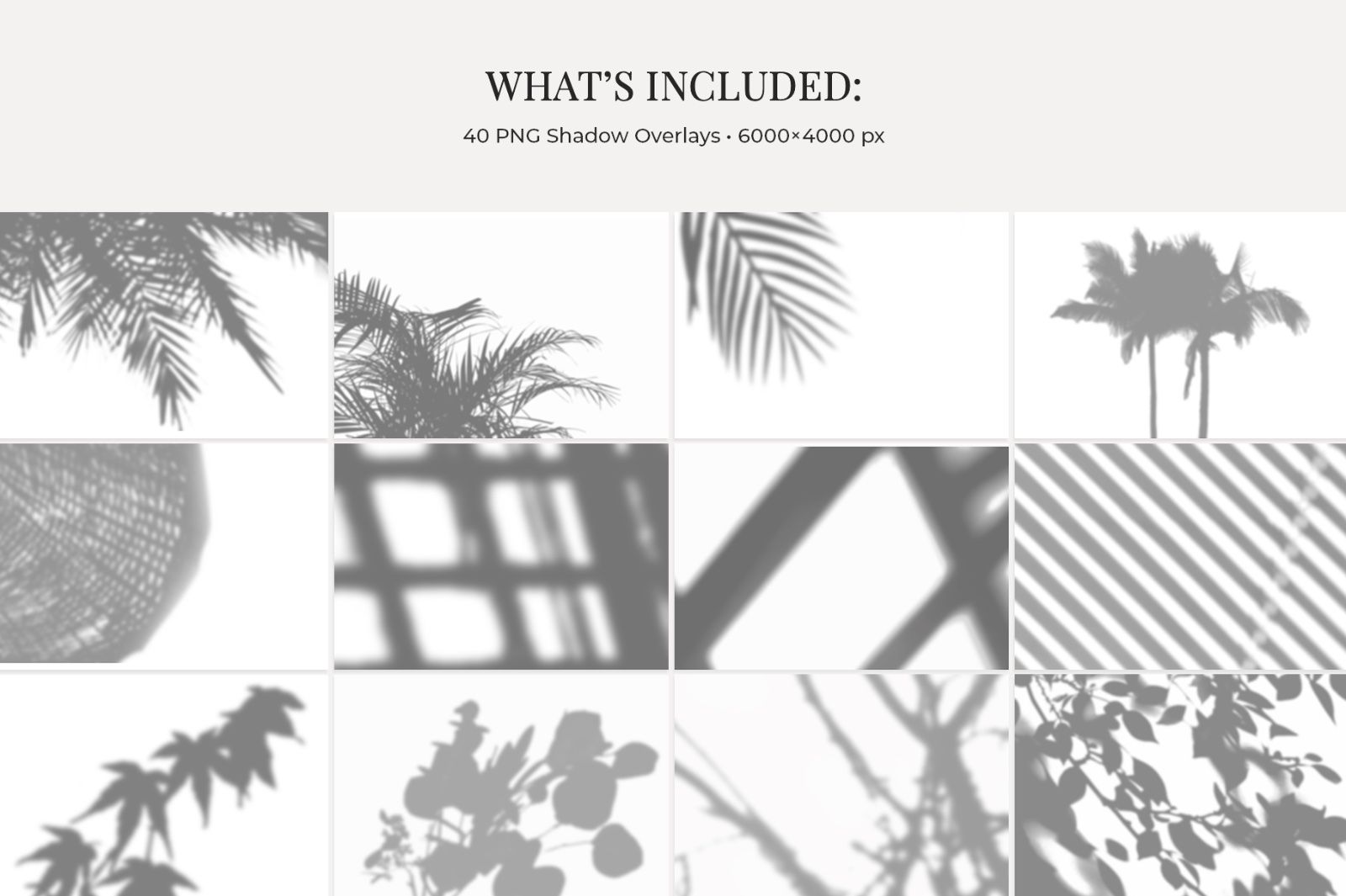 Sunlit Shadow Overlays Set — image 2