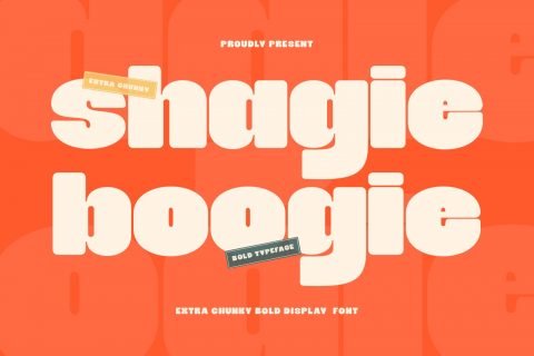 Shagie Boogie | Extra Chunky Bold Display Font