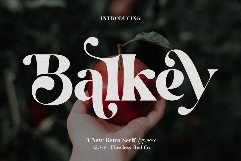 Balkey - Retro Serif Font