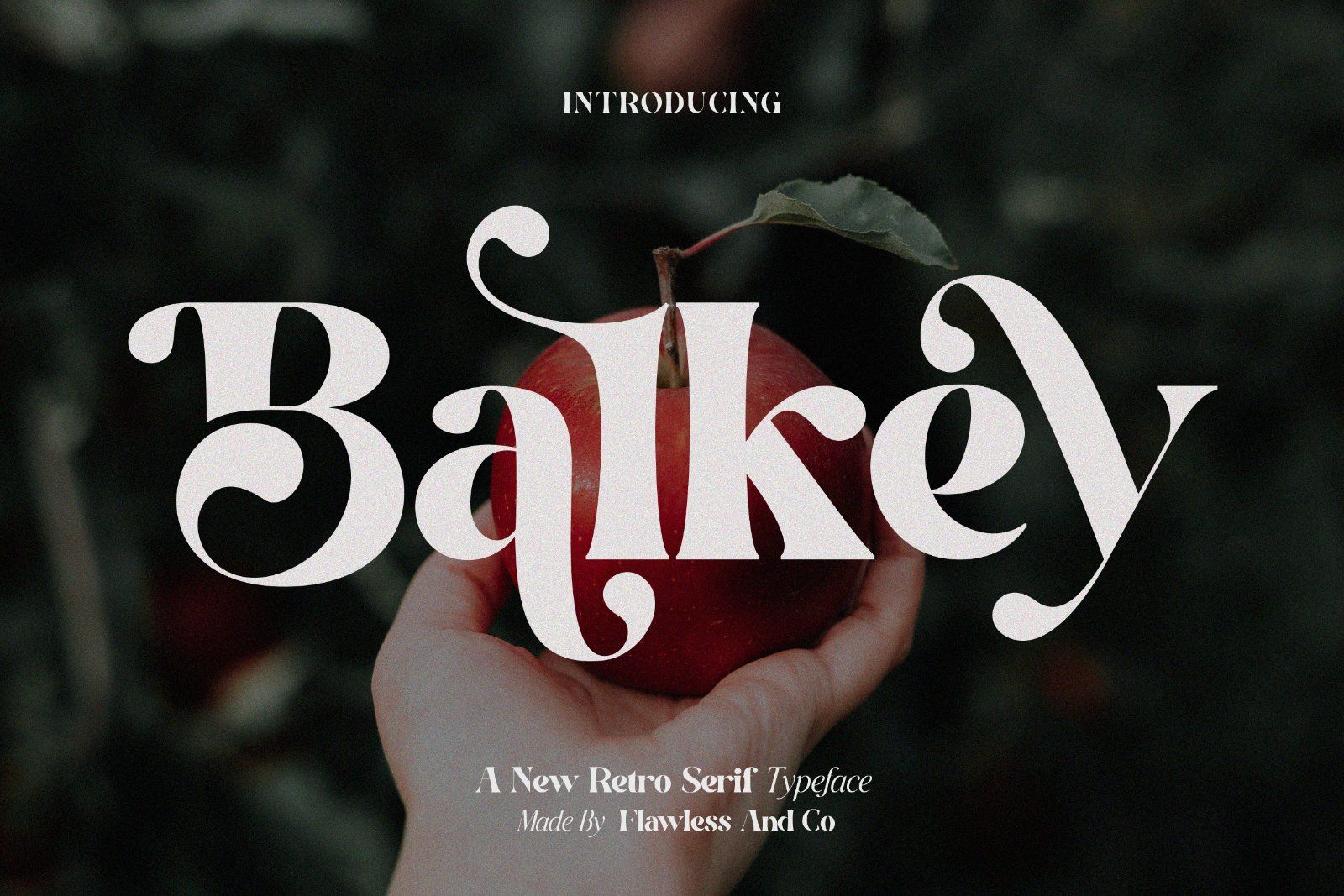 Balkey - Retro Serif Font — image 1