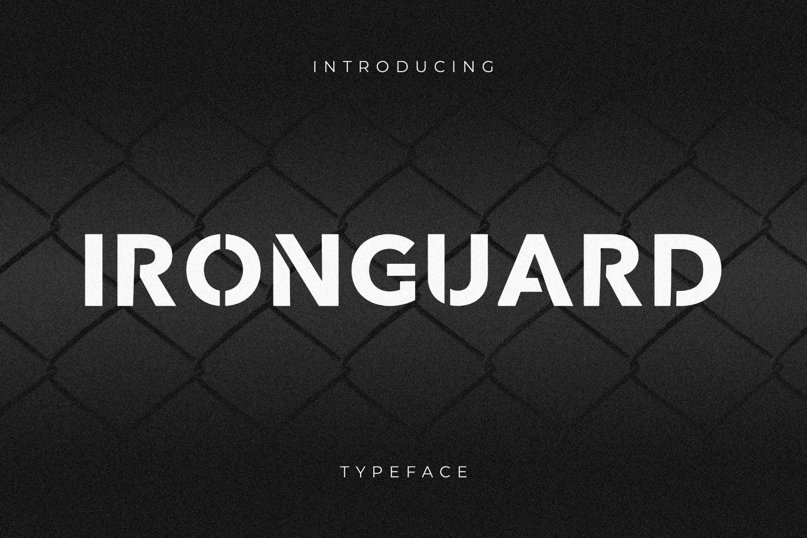 IronGuard — image 1