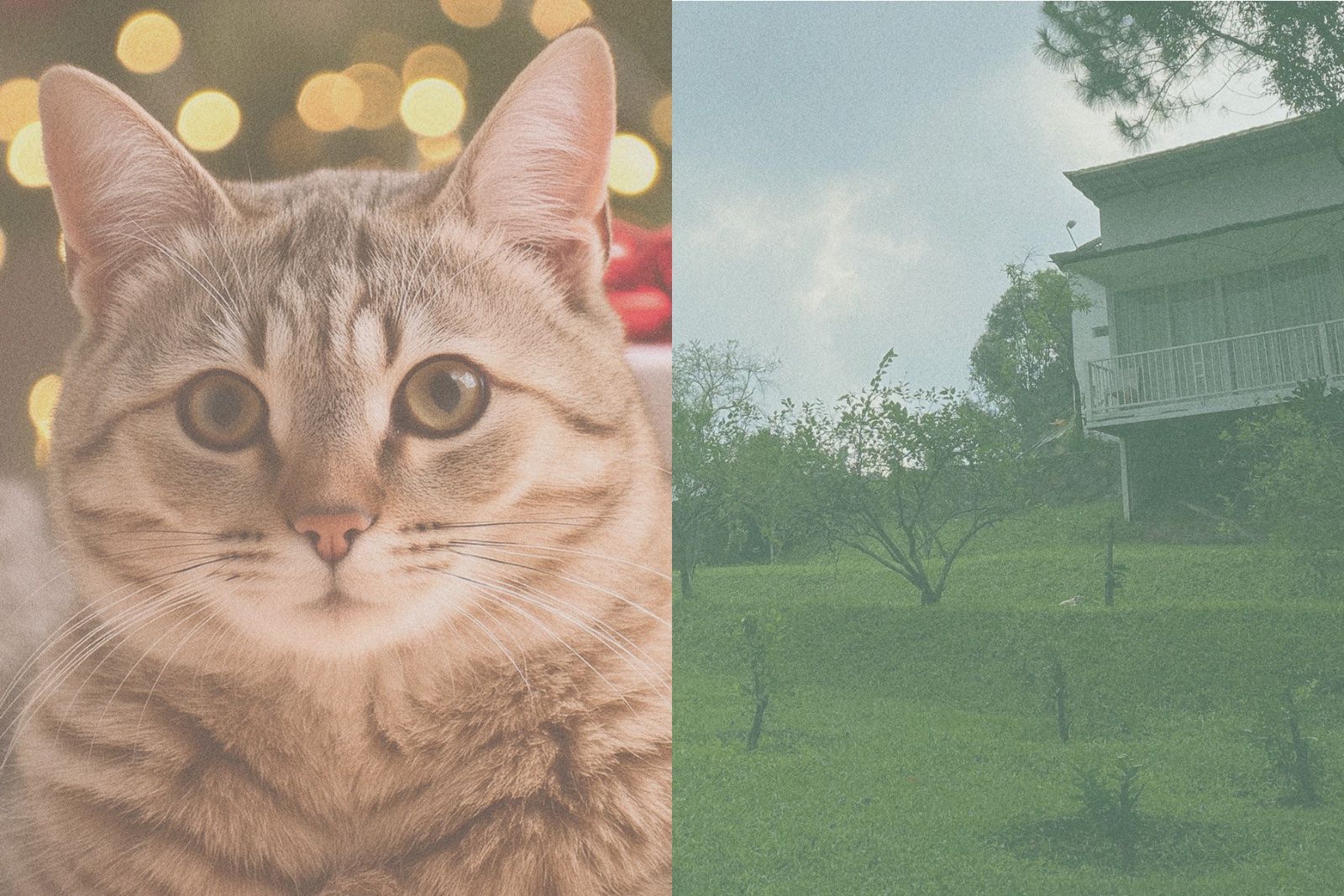 Grain Retro Effect Photo — image 8