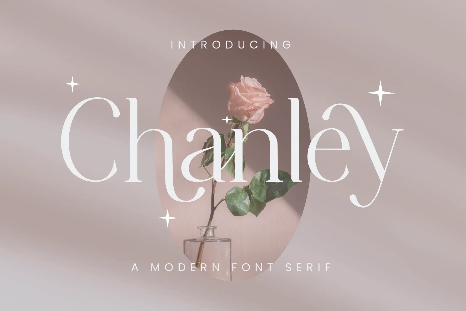 Chanley - Modern Serif Font — image 1
