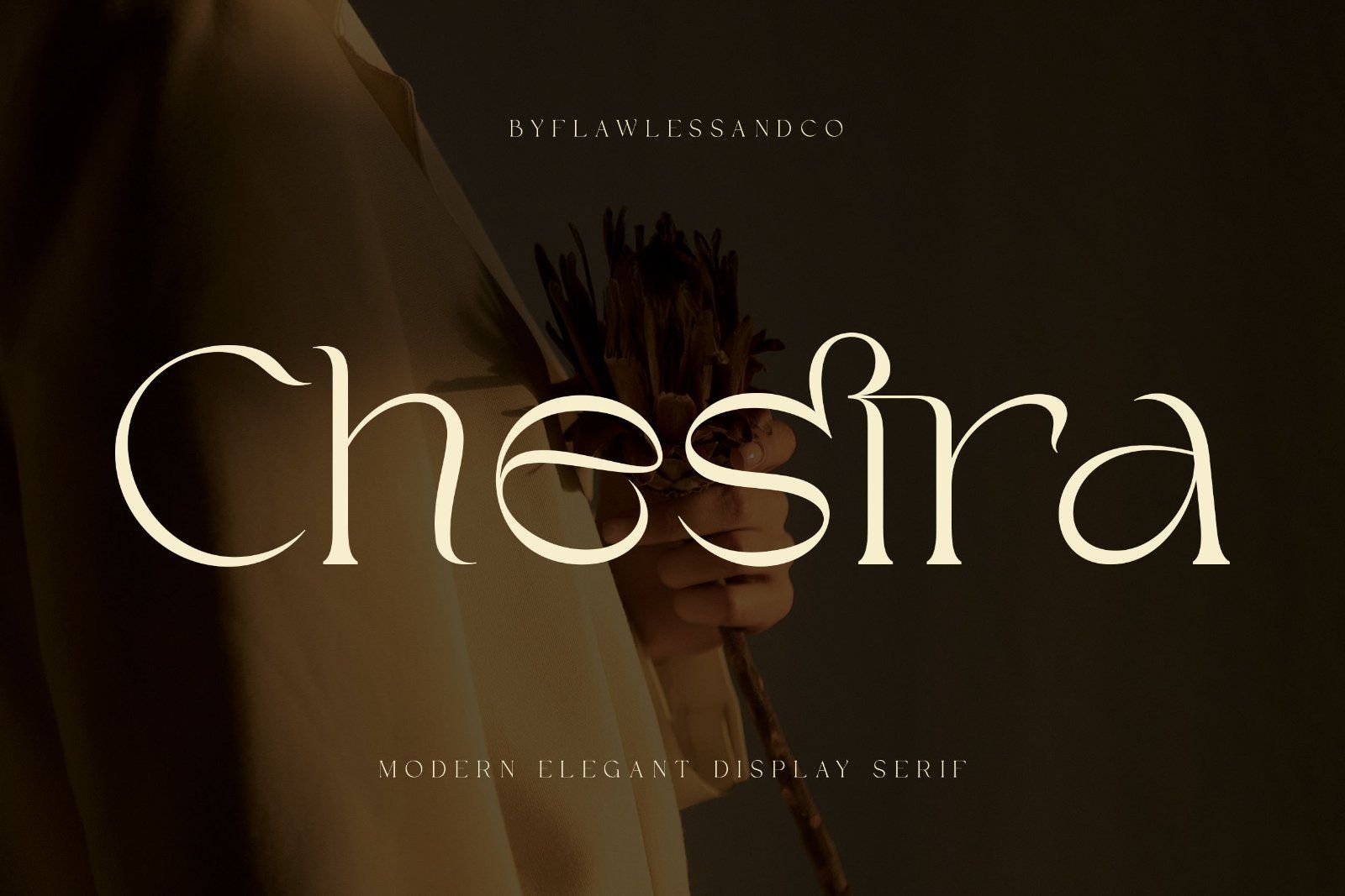 Chestra - Elegant Display Serif Font — image 1
