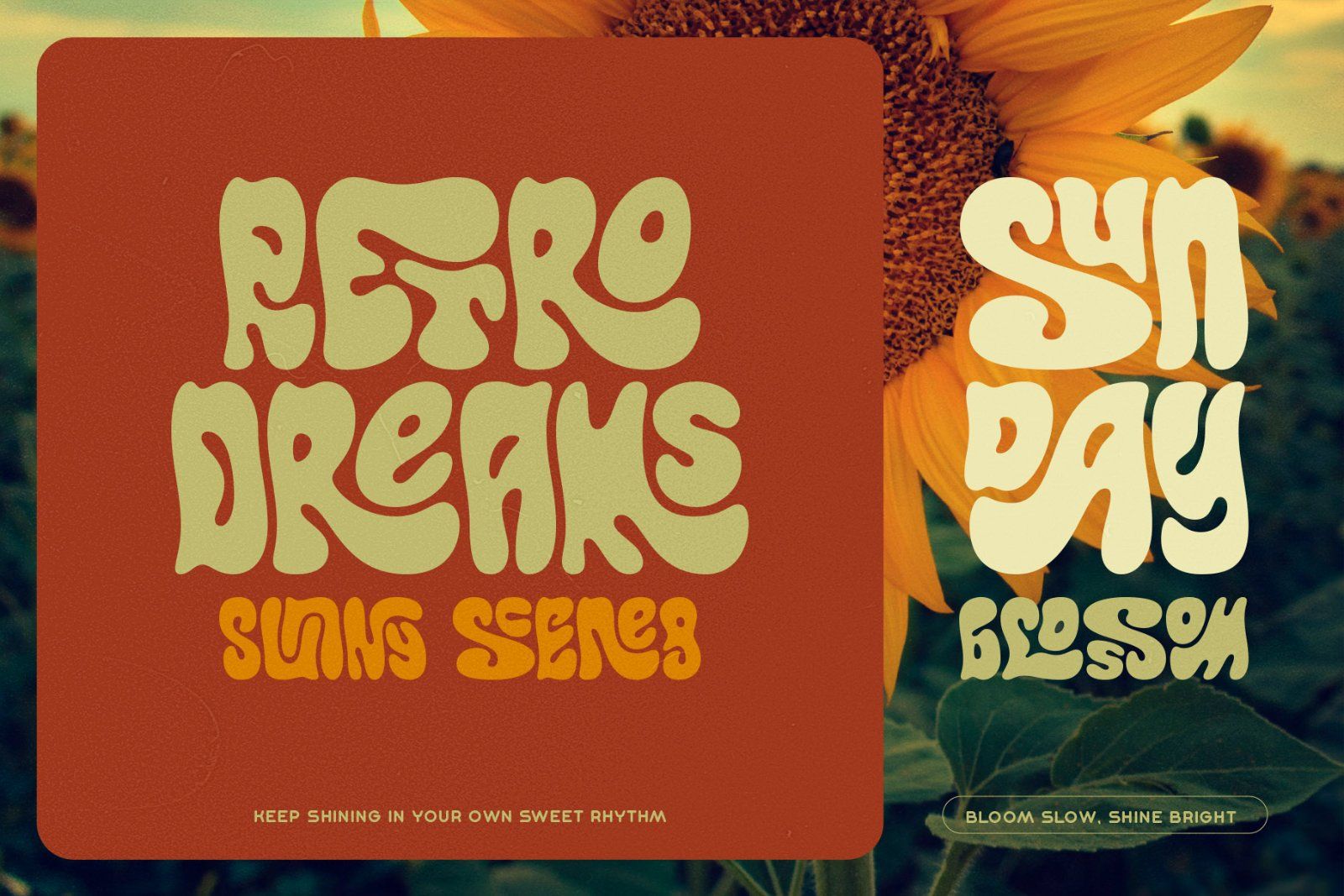 Callidryas Groovy Font — image 2