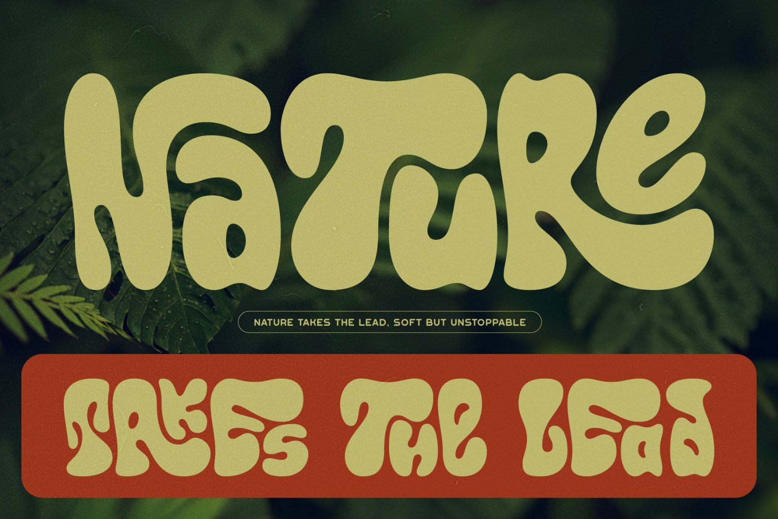 Callidryas Groovy Font — image 5