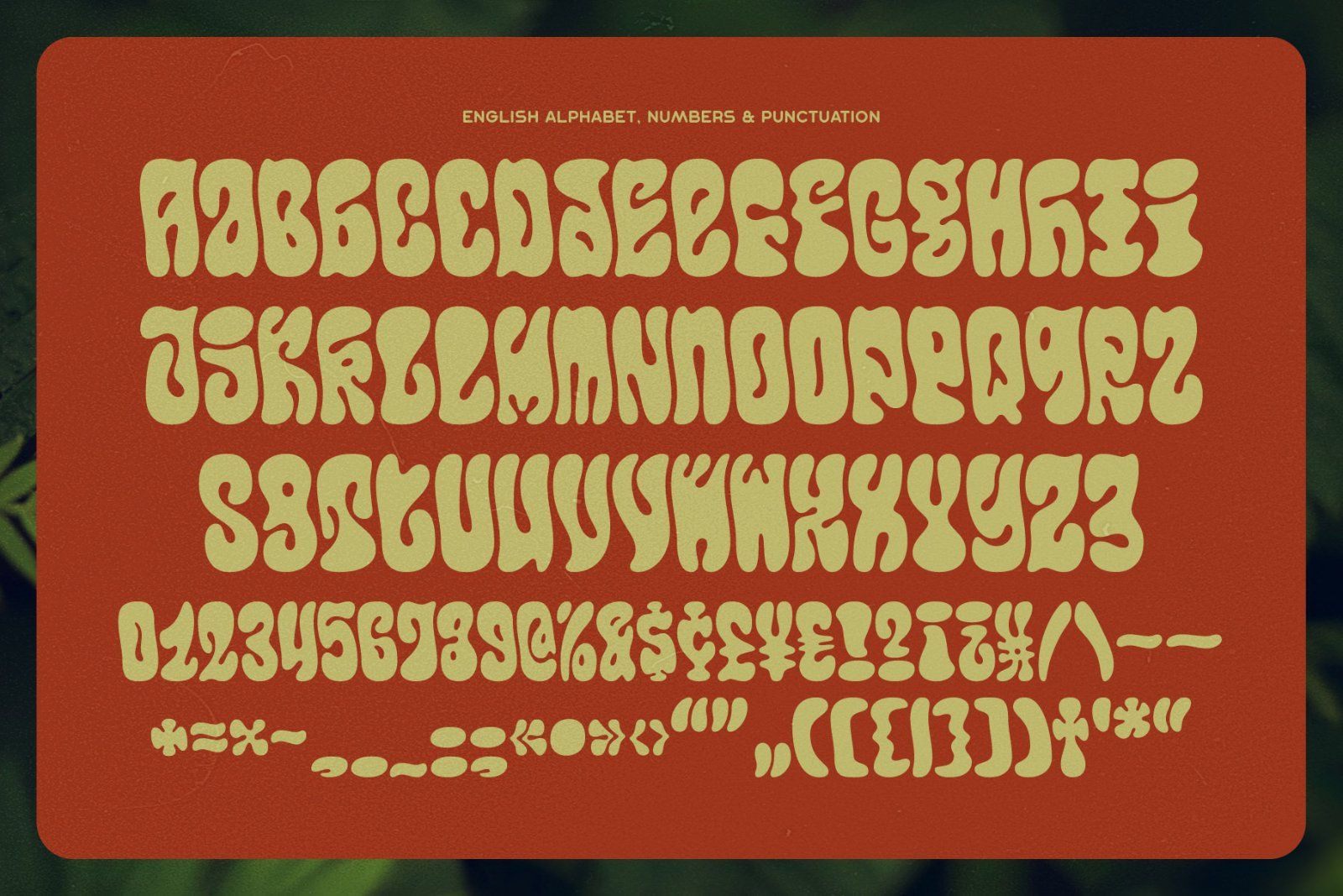 Callidryas Groovy Font — image 6
