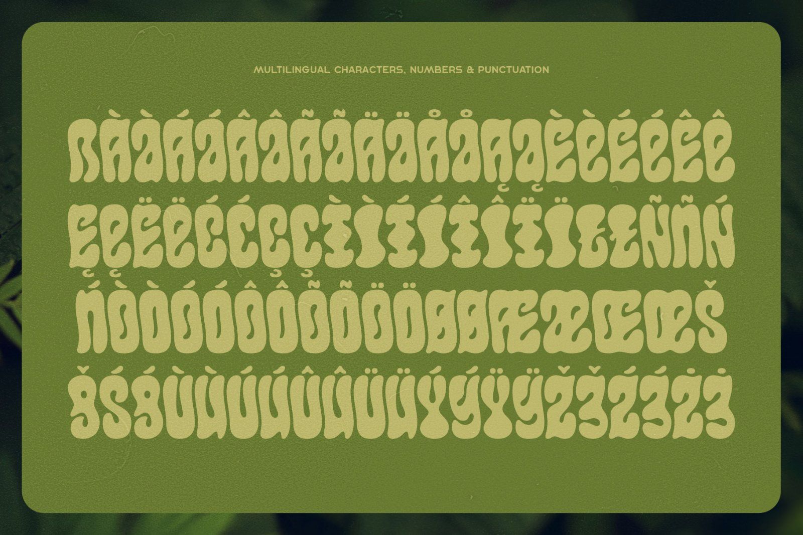 Callidryas Groovy Font — image 7