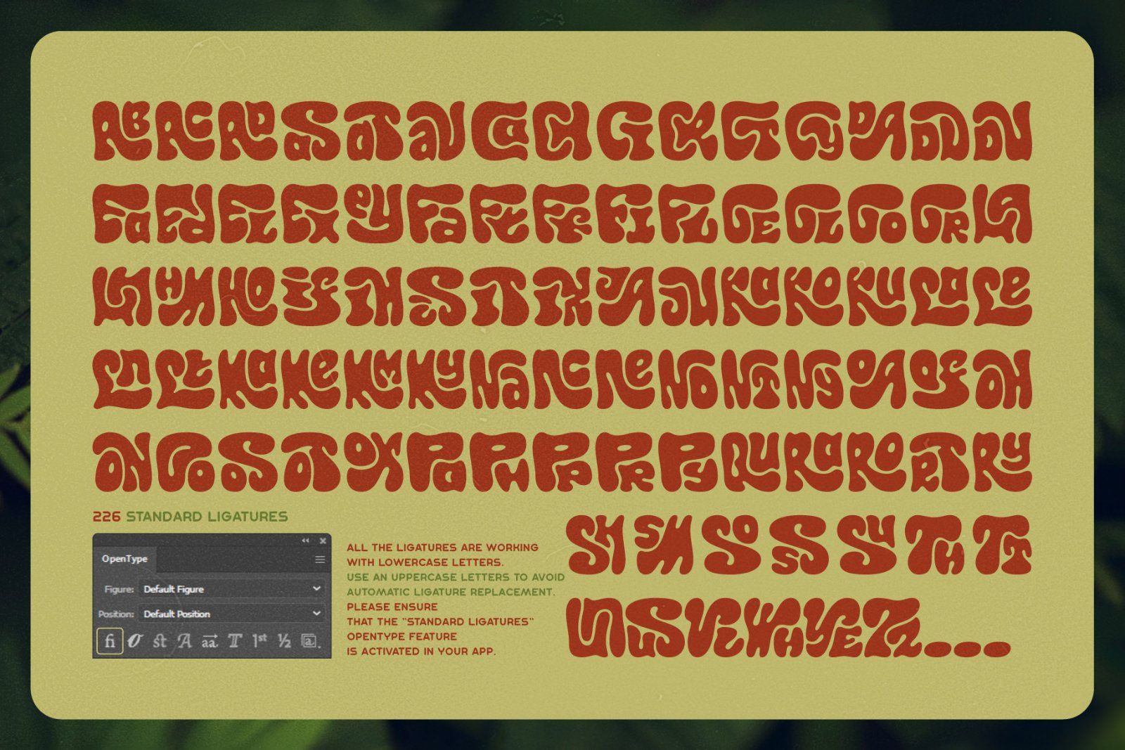Callidryas Groovy Font — image 8