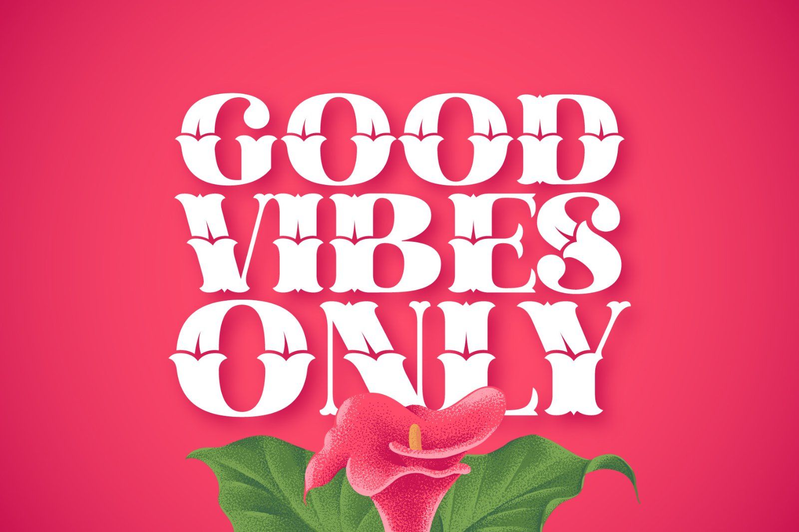 Cally Font & Graphics — image 2
