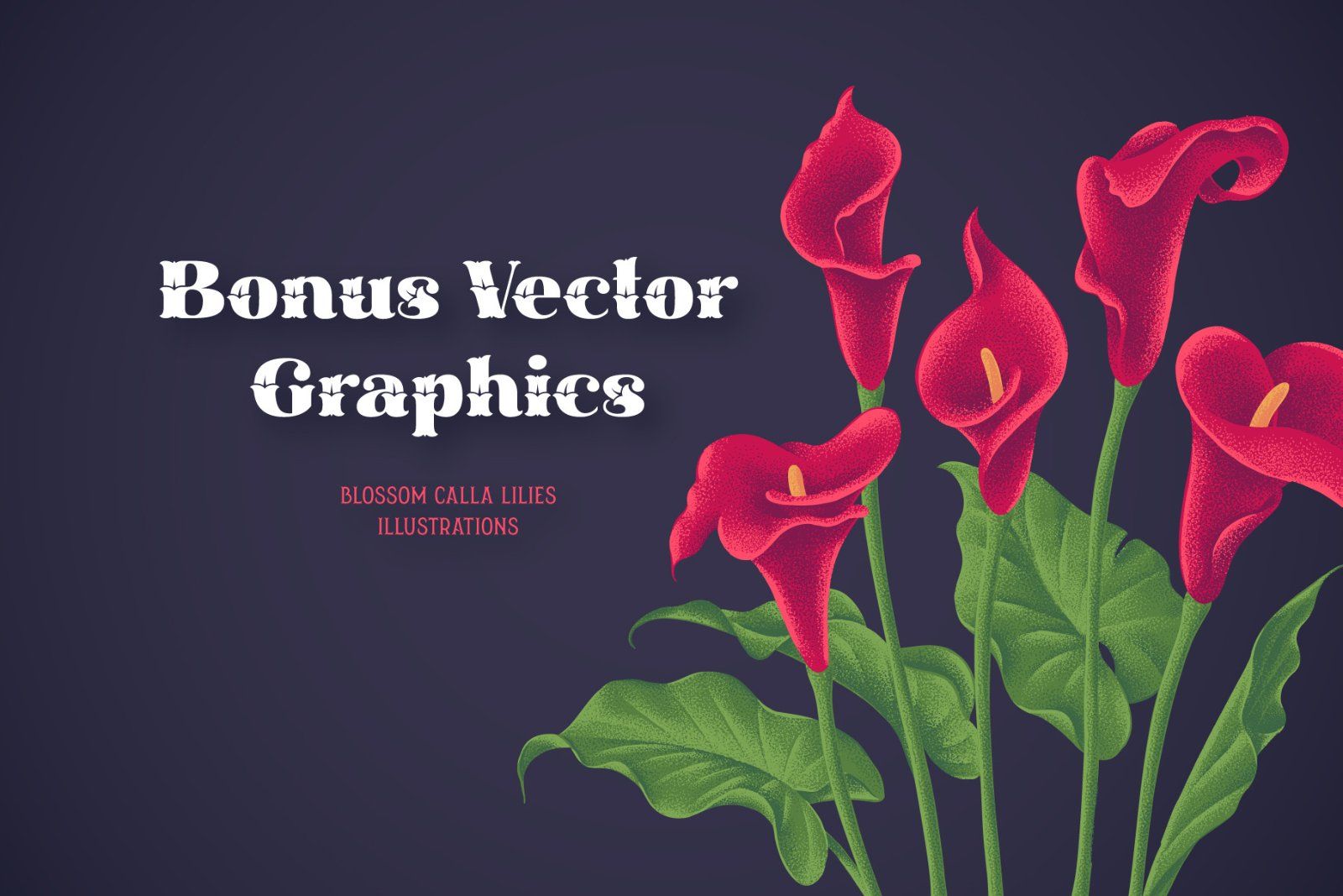 Cally Font & Graphics — image 5