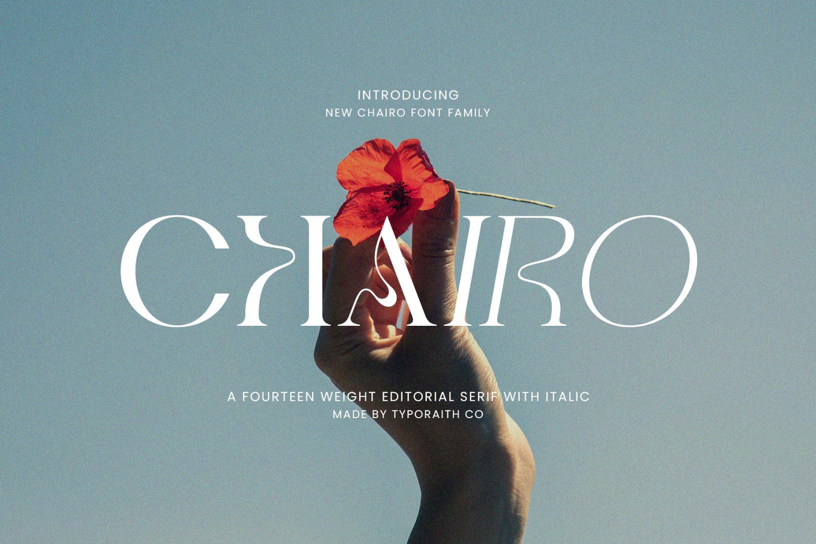 Chairo | Editorial Serif Font Family