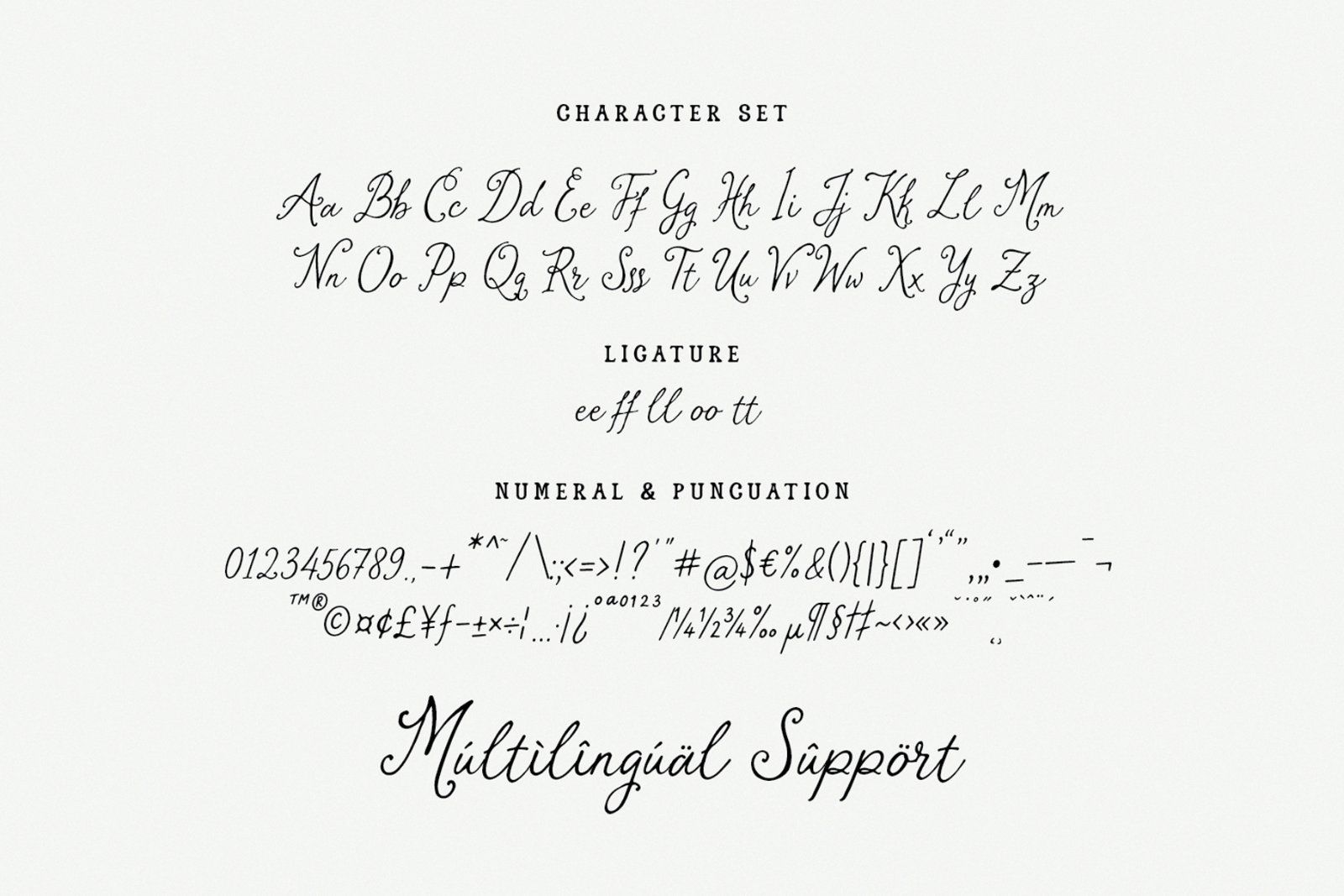 Charite Atelier Handmade Script Font — image 5