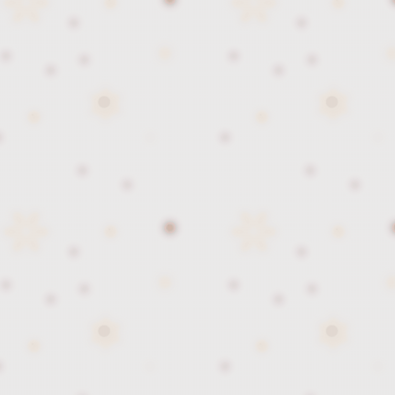 Christmas Promo Template