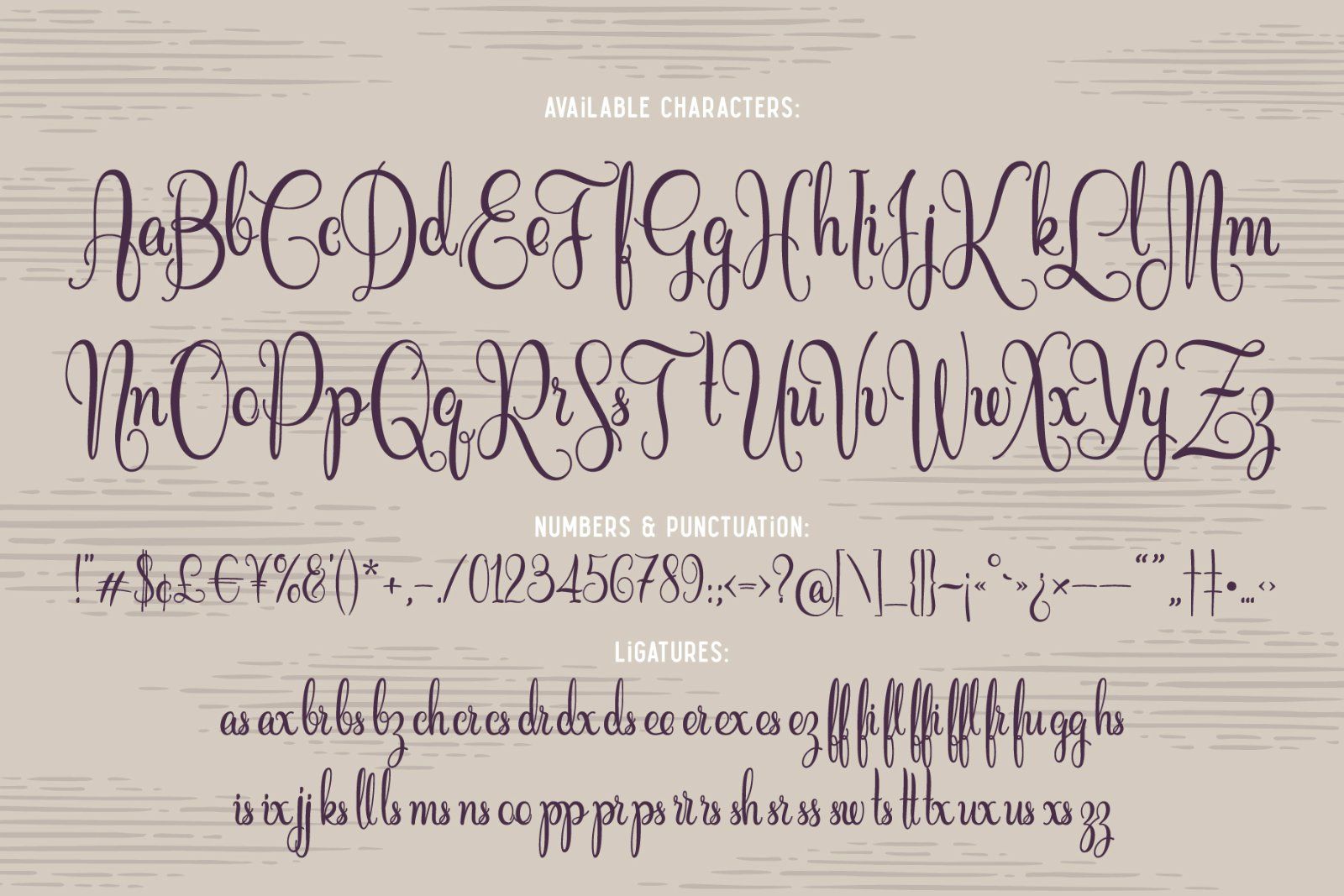 Cidrella script & graphics — image 4