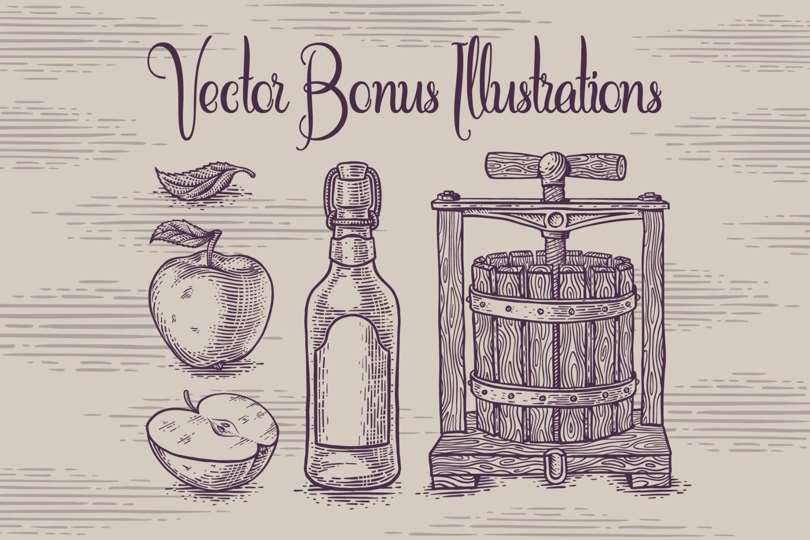 Cidrella script & graphics — image 5