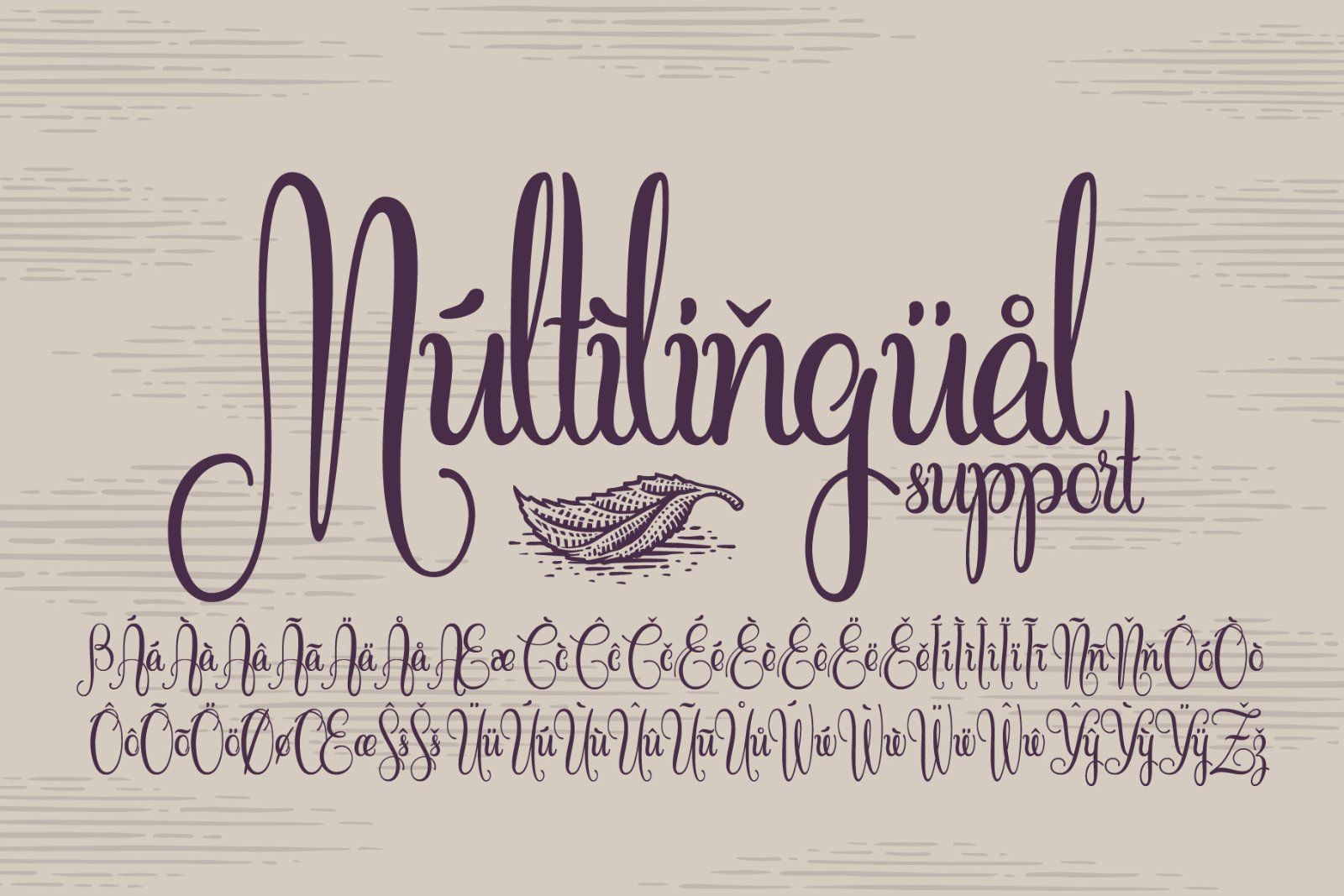 Cidrella script & graphics — image 6