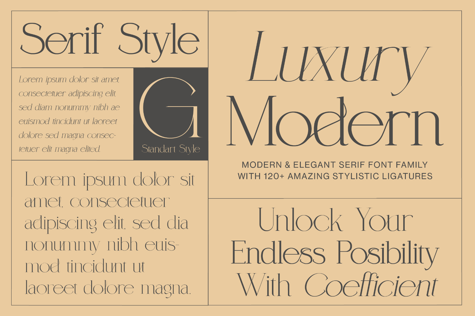Coefficient Modern & Elegant Serif — image 5
