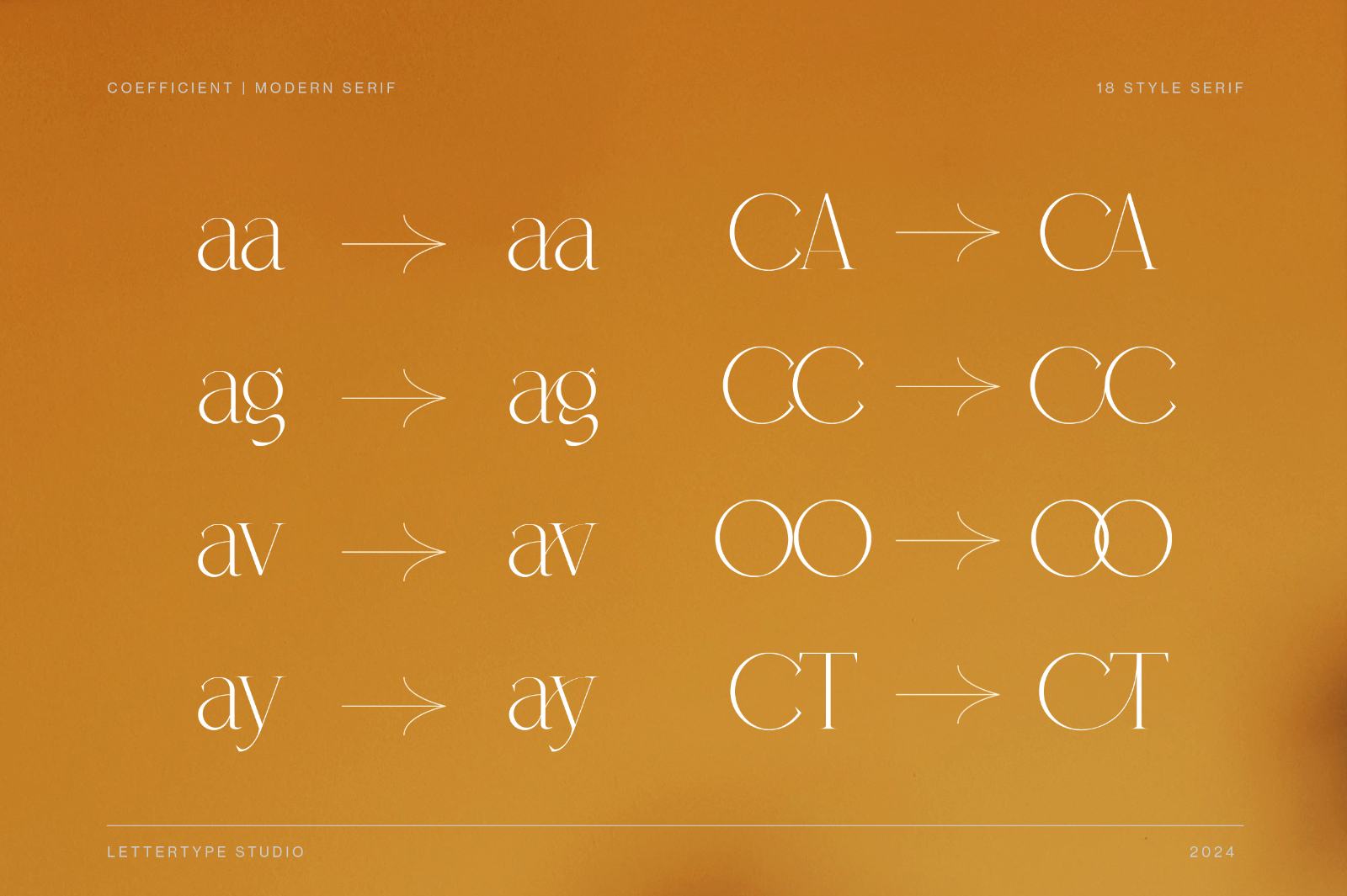 Coefficient Modern & Elegant Serif — image 7
